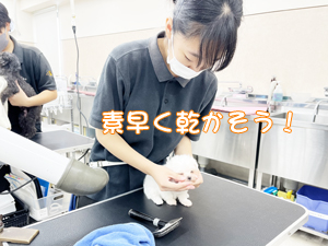 定期シャンプーでいつも清潔！